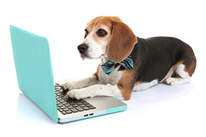 Rushville Veterinary Clinic in Rushville IL Provides Online Forms to Make Your Visit Easier