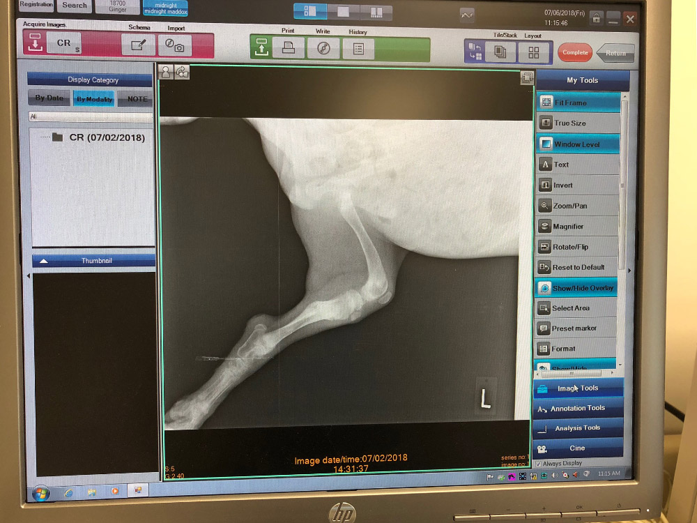 In House digital x-ray to make a quick evaluation of your pets' current condition.
